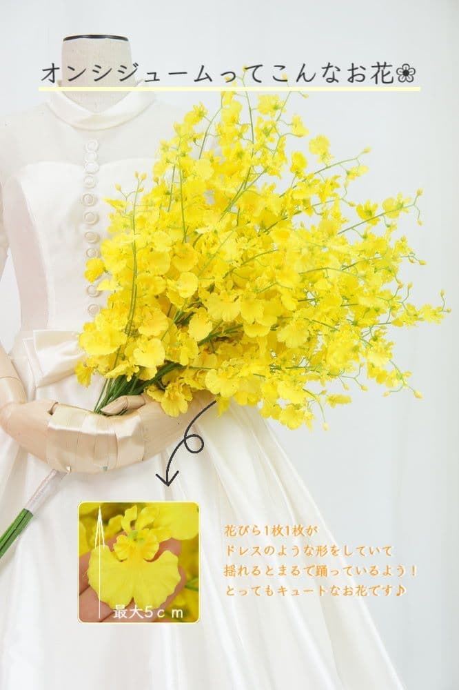 オンシジューム花言葉：可憐・一緒に踊って♪花嫁